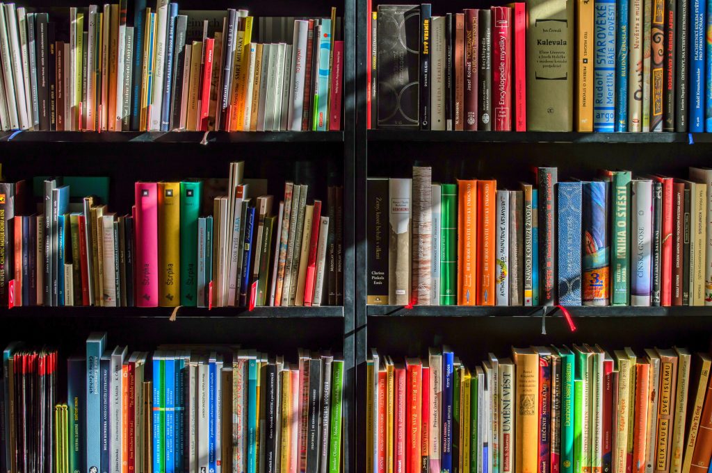 Bücherregal. Foto: Pexels
